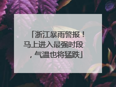 浙江暴雨警报！马上进入最强时段，气温也将猛跌