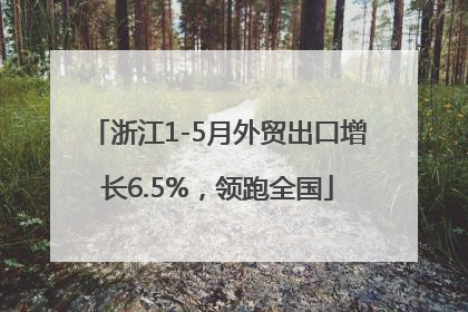 浙江1-5月外贸出口增长6.5%，领跑全国