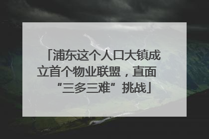 浦东这个人口大镇成立首个物业联盟，直面“三多三难”挑战
