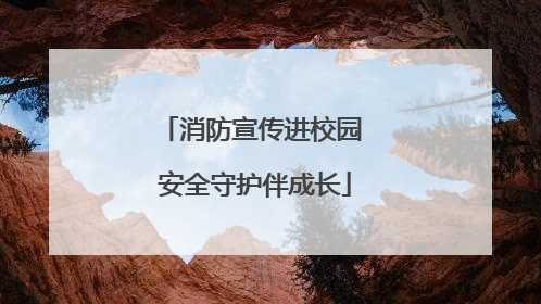 消防宣传进校园 安全守护伴成长