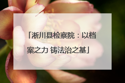 淅川县检察院：以档案之力 铸法治之基