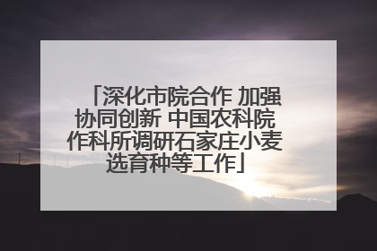 深化市院合作 加强协同创新 中国农科院作科所调研石家庄小麦选育种等工作