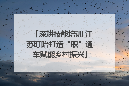 深耕技能培训 江苏盱眙打造“职”通车赋能乡村振兴
