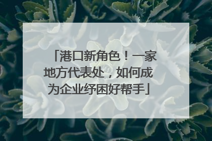 港口新角色！一家地方代表处，如何成为企业纾困好帮手