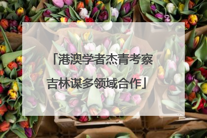 港澳学者杰青考察吉林谋多领域合作