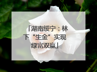 湖南绥宁：林下“生金”实现绿富双赢