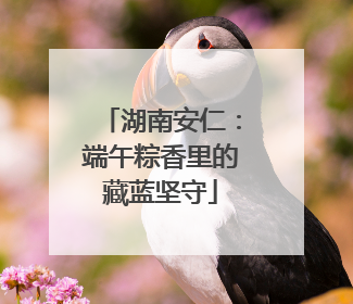 湖南安仁：端午粽香里的藏蓝坚守