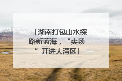 湖南打包山水探路新蓝海，“卖场”开进大湾区