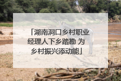 湖南洞口乡村职业经理人下乡踏勘 为乡村振兴添动能