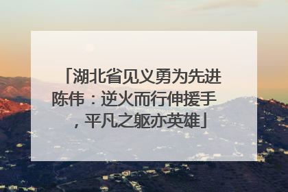 湖北省见义勇为先进陈伟：逆火而行伸援手，平凡之躯亦英雄