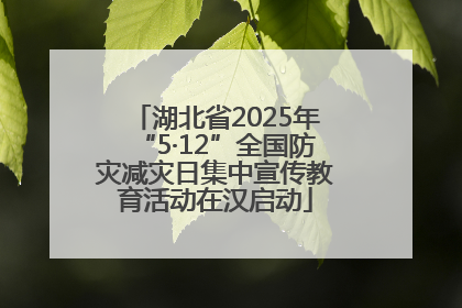 湖北省2025年“5·12”全国防灾减灾日集中宣传教育活动在汉启动