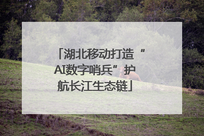 湖北移动打造“AI数字哨兵”护航长江生态链