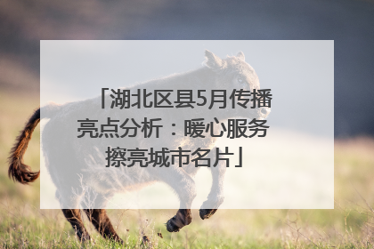 湖北区县5月传播亮点分析：暖心服务擦亮城市名片