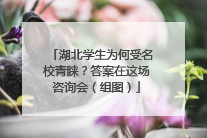 湖北学生为何受名校青睐？答案在这场咨询会（组图）