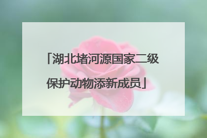 湖北堵河源国家二级保护动物添新成员