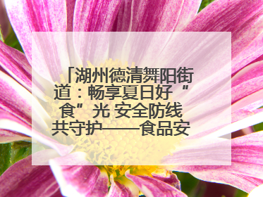 湖州德清舞阳街道：畅享夏日好“食”光 安全防线共守护——食品安全与中医养生知识宣传