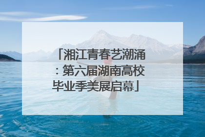 湘江青春艺潮涌：第六届湖南高校毕业季美展启幕