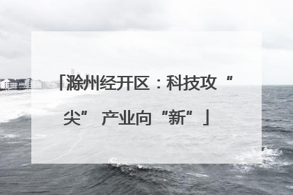 滁州经开区：科技攻“尖” 产业向“新”