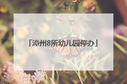漳州8所幼儿园停办