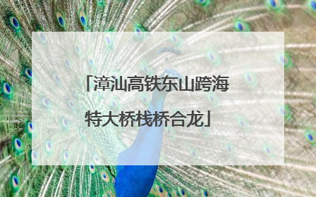 漳汕高铁东山跨海特大桥栈桥合龙