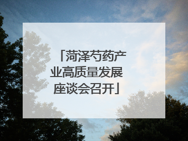 菏泽芍药产业高质量发展座谈会召开