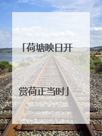 荷塘映日开 赏荷正当时