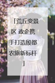 荒丘变景区 政企携手打造殷都农旅新标杆