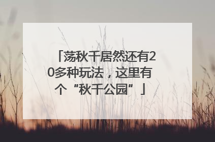 荡秋千居然还有20多种玩法，这里有个“秋千公园”