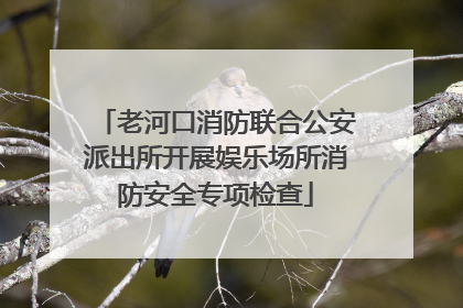 老河口消防联合公安派出所开展娱乐场所消防安全专项检查