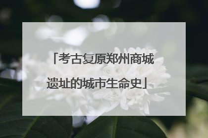 考古复原郑州商城遗址的城市生命史