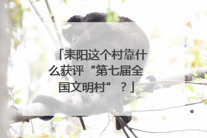 耒阳这个村靠什么获评“第七届全国文明村”？