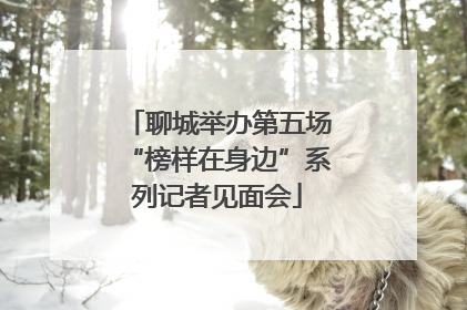 聊城举办第五场“榜样在身边”系列记者见面会