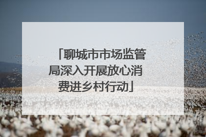 聊城市市场监管局深入开展放心消费进乡村行动