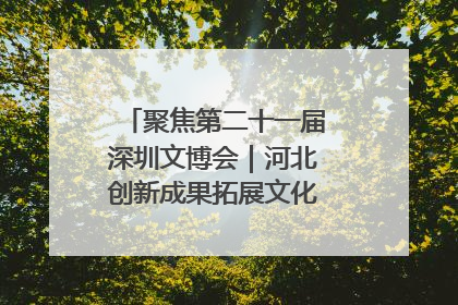 聚焦第二十一届深圳文博会｜河北创新成果拓展文化产业“朋友圈”