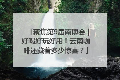 聚焦第9届南博会｜好喝好玩好用！云南咖啡还藏着多少惊喜？