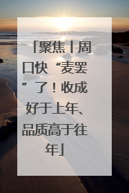 聚焦丨周口快“麦罢”了！收成好于上年、品质高于往年