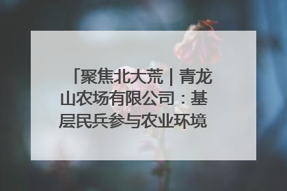 聚焦北大荒｜青龙山农场有限公司：基层民兵参与农业环境综合治理显效