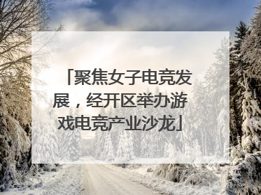 聚焦女子电竞发展，经开区举办游戏电竞产业沙龙