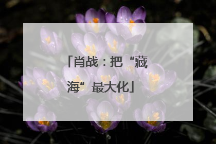 肖战：把“藏海”最大化