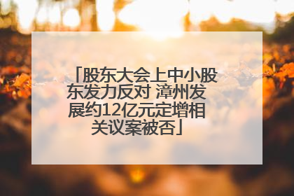股东大会上中小股东发力反对 漳州发展约12亿元定增相关议案被否
