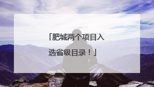 肥城两个项目入选省级目录！