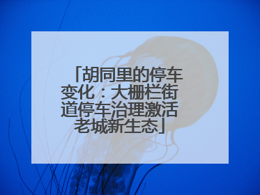 胡同里的停车变化：大栅栏街道停车治理激活老城新生态