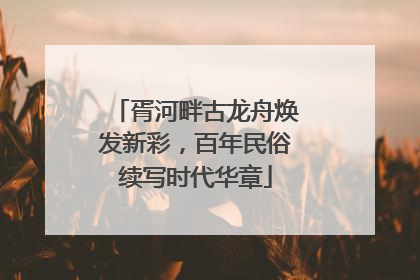 胥河畔古龙舟焕发新彩，百年民俗续写时代华章