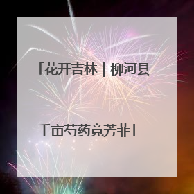 花开吉林｜柳河县千亩芍药竞芳菲