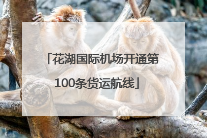 花湖国际机场开通第100条货运航线