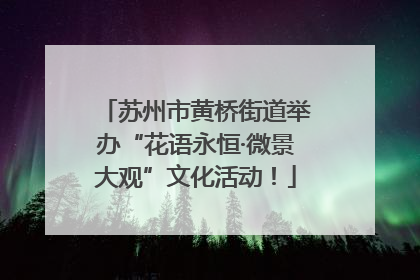 苏州市黄桥街道举办“花语永恒·微景大观”文化活动！