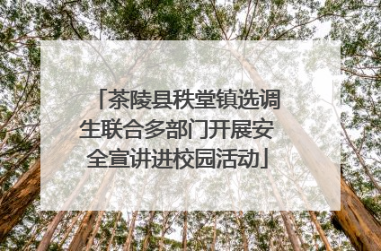 茶陵县秩堂镇选调生联合多部门开展安全宣讲进校园活动