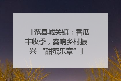 范县城关镇：香瓜丰收季，奏响乡村振兴 “甜蜜乐章”