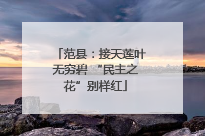 范县：接天莲叶无穷碧 “民主之花”别样红