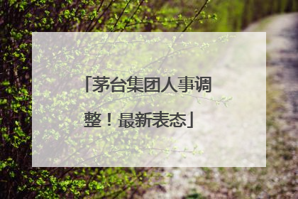 茅台集团人事调整！最新表态